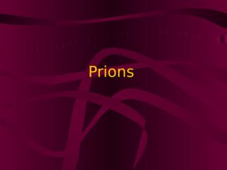 Lecture 24. Prions.ppt