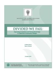 Divided_We_Fail.pdf