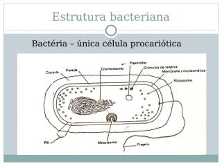 Estrutura bacteriana.ppt